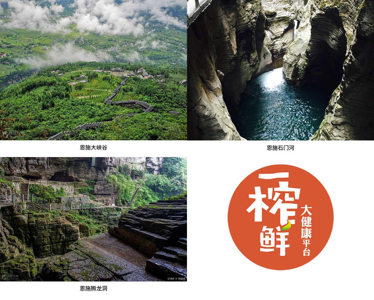 經(jīng)銷商：糖酒會期間產(chǎn)品那么多，我該代理哪一個？