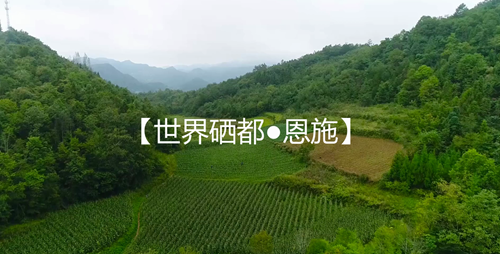 谷物原料源自1800米高山種植基地|一榨鮮谷物飲料
