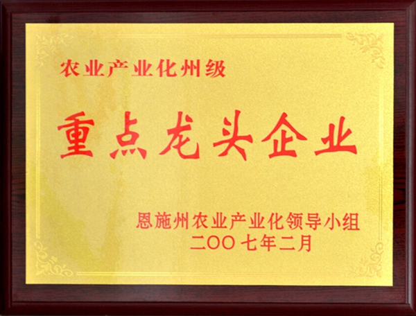 2007年恩施州重點(diǎn)龍頭企業(yè)