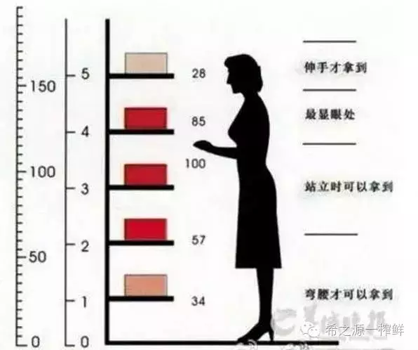 一榨鮮陳列示范 