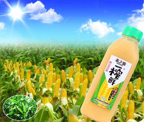 均衡膳食 飲料只喝一榨鮮粗糧健康飲品