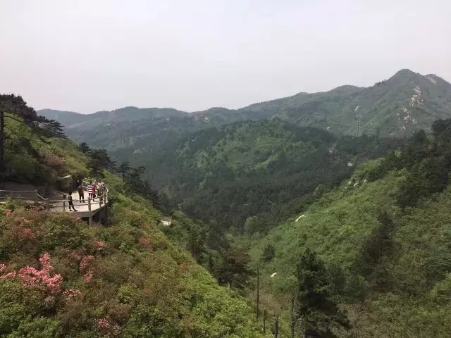 谷物飲料
